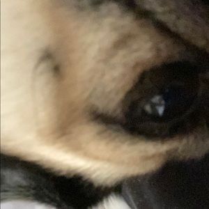 Meet your Posher, Devon